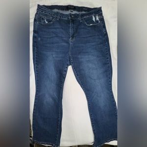 Judy Blue slim bootcut size 20W